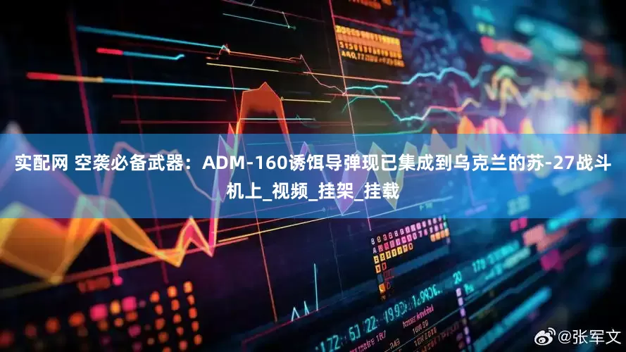 实配网 空袭必备武器：ADM-160诱饵导弹现已集成到乌克兰的苏-27战斗机上_视频_挂架_挂载