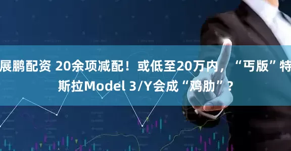 展鹏配资 20余项减配！或低至20万内，“丐版”特斯拉Model 3/Y会成“鸡肋”？