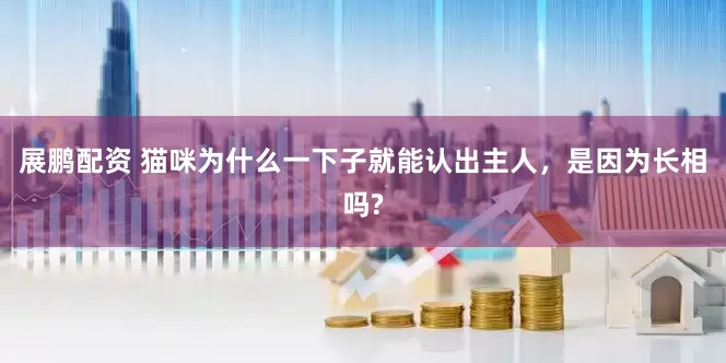 展鹏配资 猫咪为什么一下子就能认出主人，是因为长相吗?